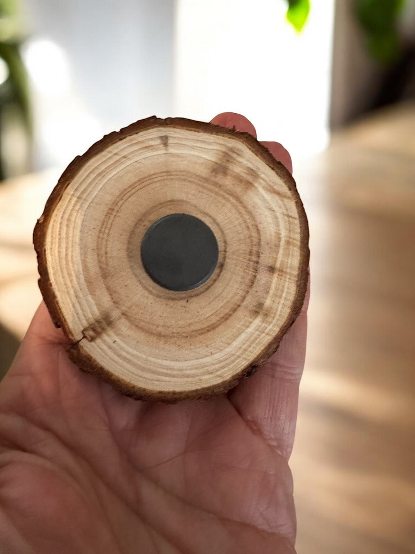 Ansicht der Rückseite des Holzmagneten: Eine natürliche Baumscheibe mit deutlich erkennbaren Jahresringen und einem flach eingelassenen, starken Rundmagneten in der Mitte. Pfälzer Wichtel und Originelle Geschenkidee, wunderschönes Unikat