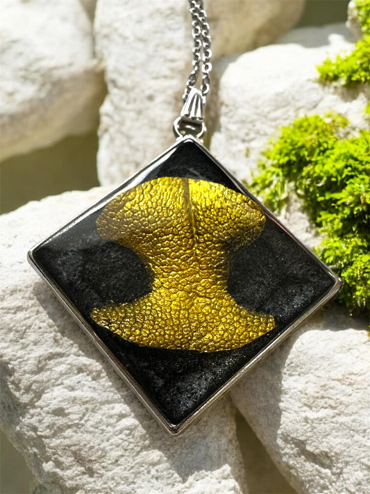 Quadratischer Gedenkschmuck Anhänger mit goldenem Hundenasen-Abdruck auf schwarzem Grund.
