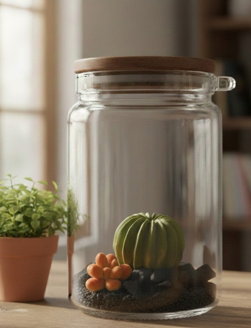 Duft-Sukkulenten im Glas – dein kleiner Duftgarten