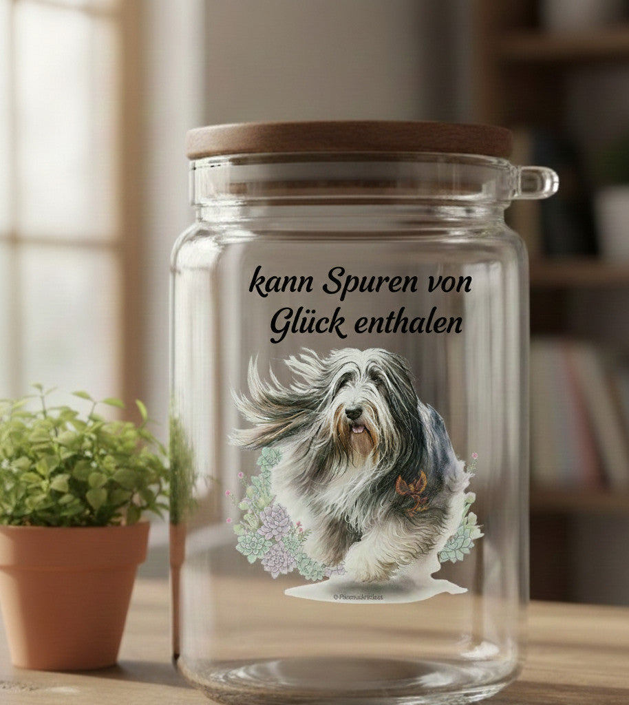 Duft-Sukkulenten im Glas – dein kleiner Duftgarten