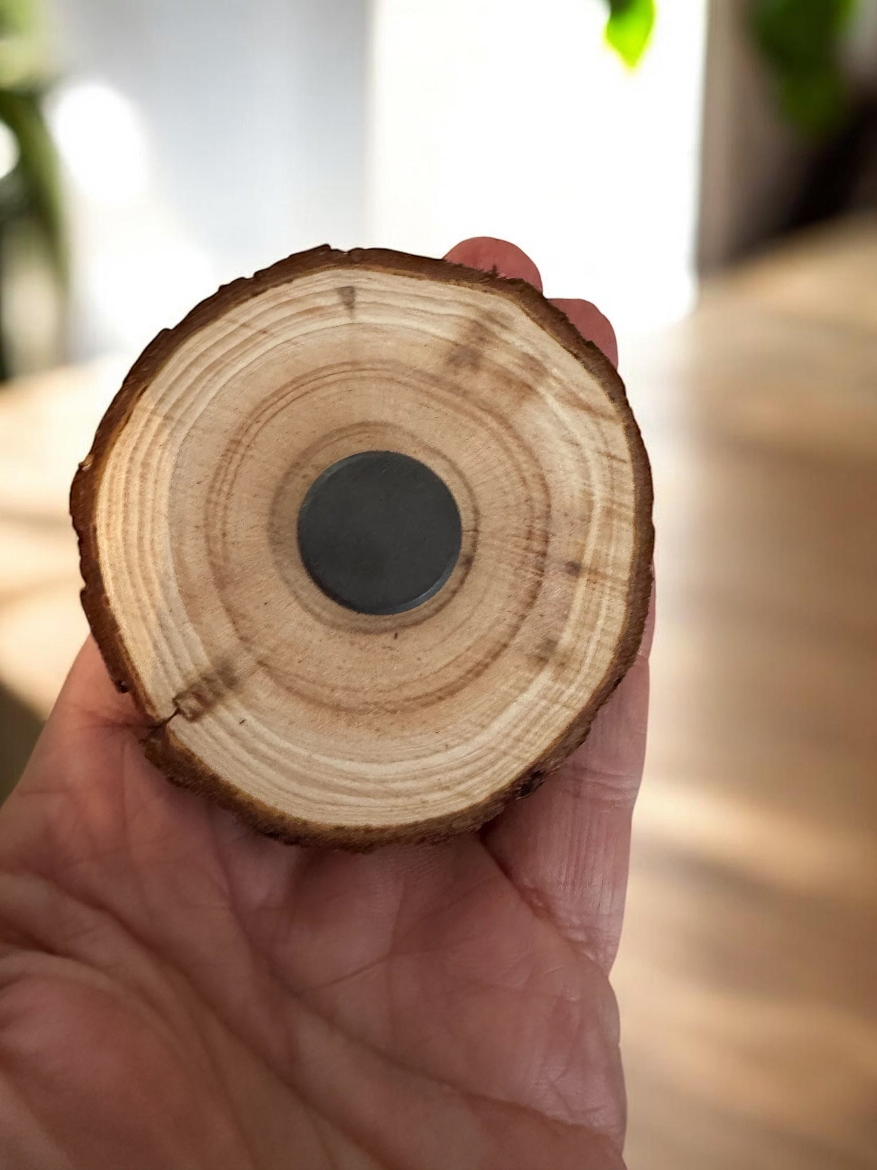Ansicht der Rückseite des Holzmagneten: Eine natürliche Baumscheibe mit deutlich erkennbaren Jahresringen und einem flach eingelassenen, starken Rundmagneten in der Mitte. Pfälzer Wichtel und Originelle Geschenkidee, wunderschönes Unikat